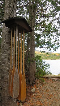 IMG_2719.jpg