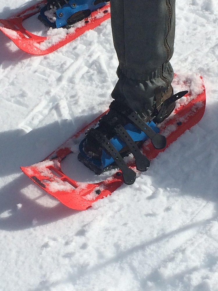 MSR Denali Reviews Trailspace