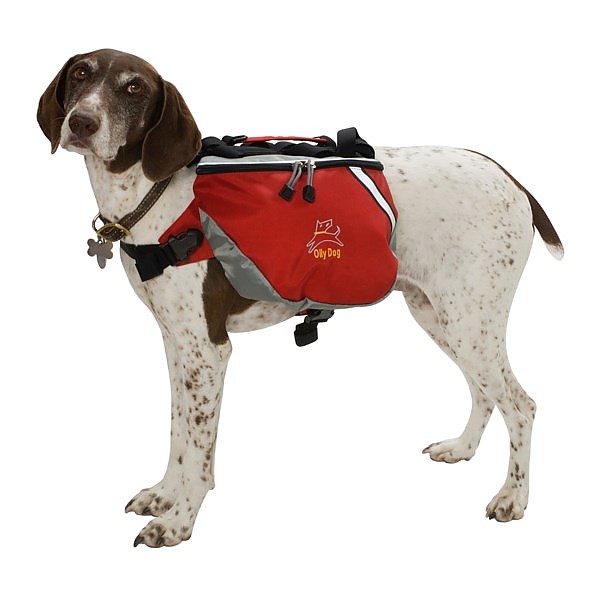 photo: OllyDog Dog Pack dog pack