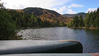 IMG_2732.jpg