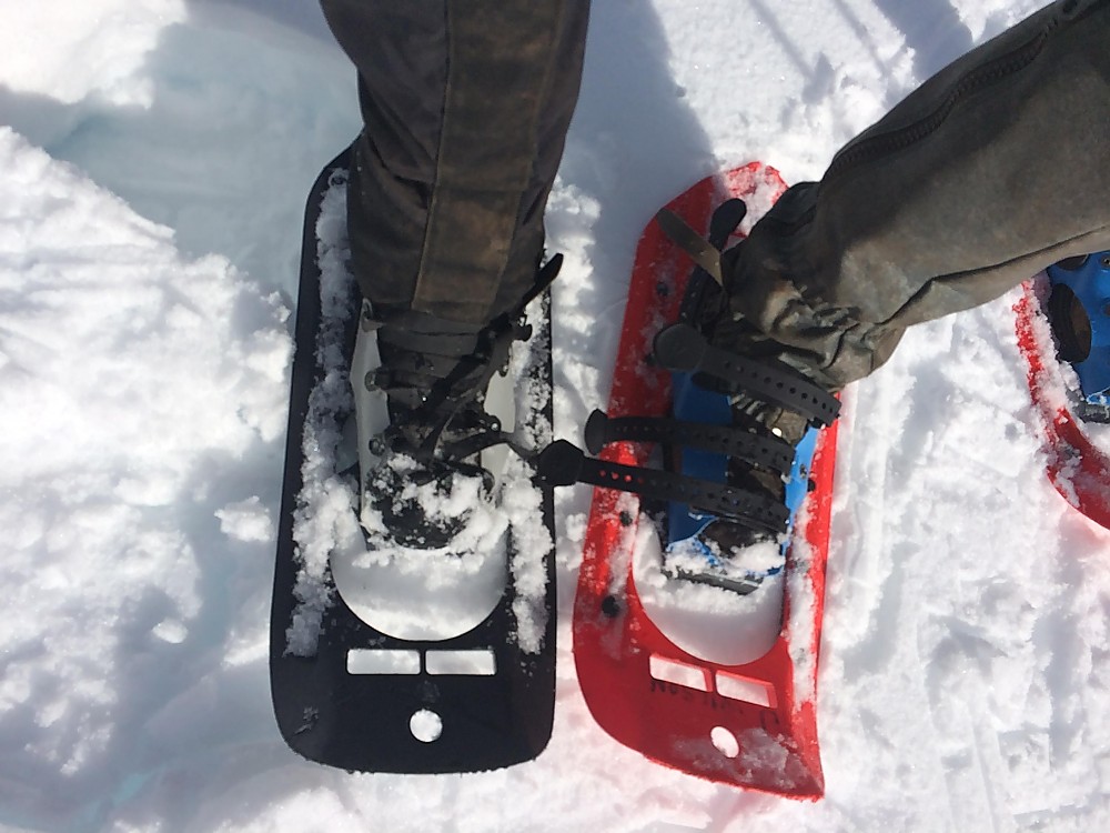 MSR Denali Reviews Trailspace