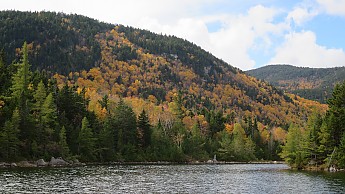 IMG_2733.jpg