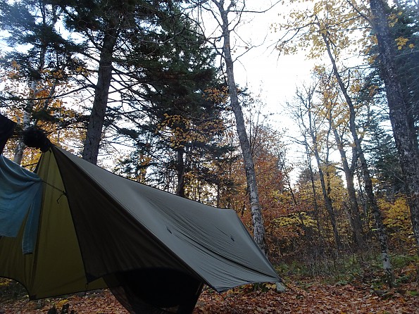 Hammock gear outlet tarp