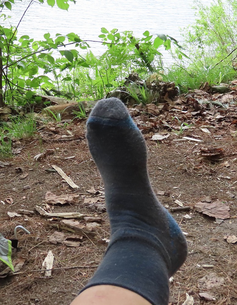 photo: Royal Robbins Bug Barrier Venture Crew Socks hiking/backpacking sock