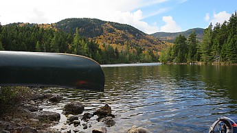 IMG_2739.jpg