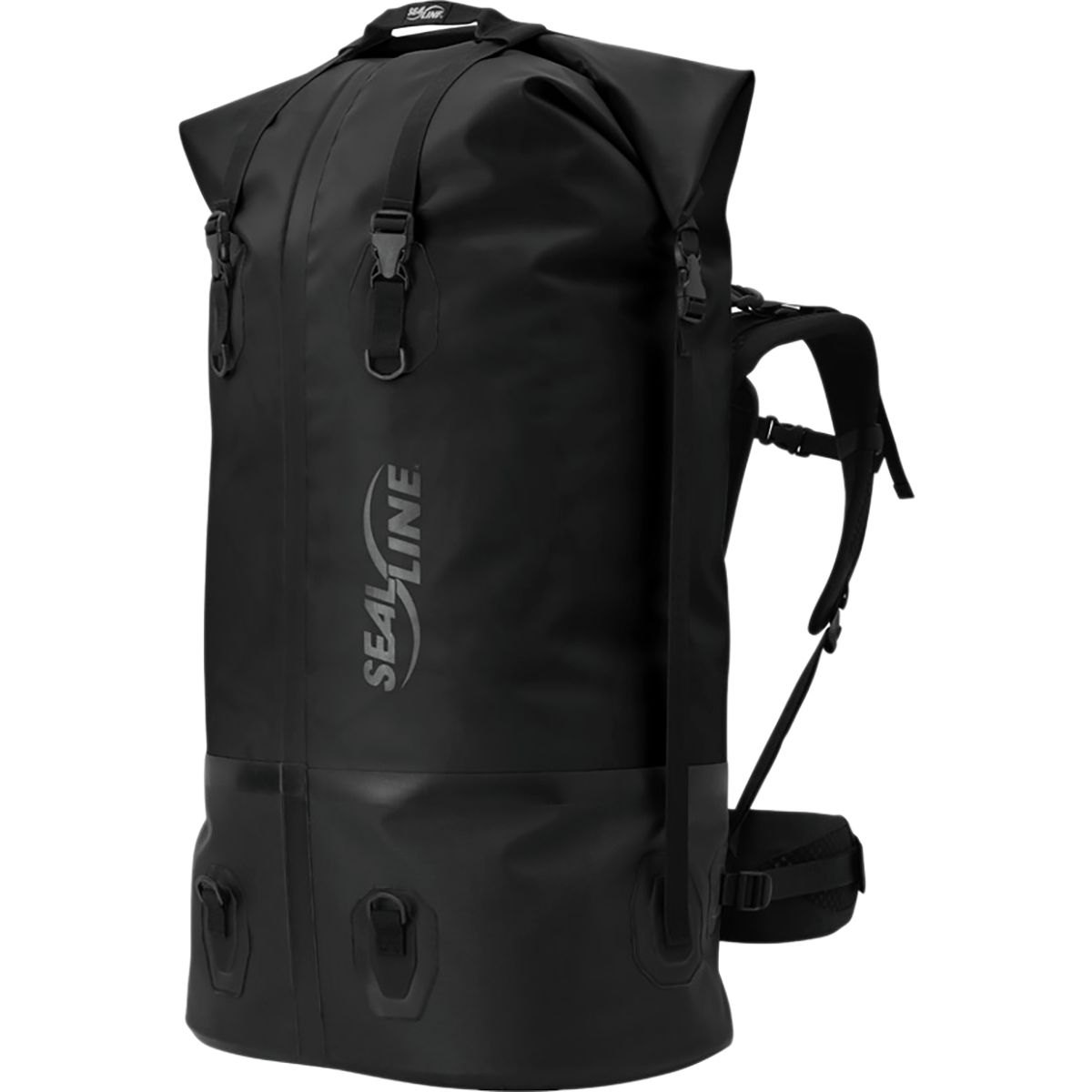 photo: SealLine Pro Dry Pack dry pack