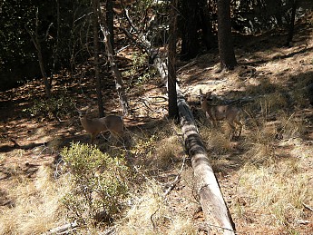 SANY1466.jpg