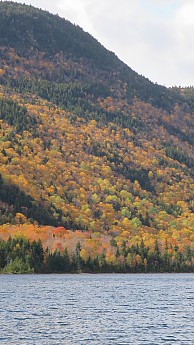 IMG_2766.jpg