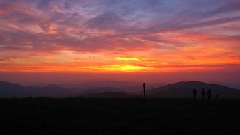 Max-Patch-2.jpg