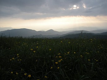 Max-Patch-1.jpg