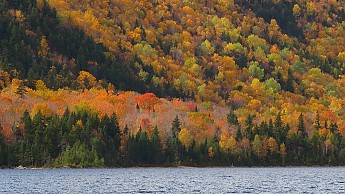 IMG_2769.jpg