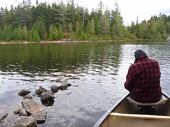 P1000139.jpg
