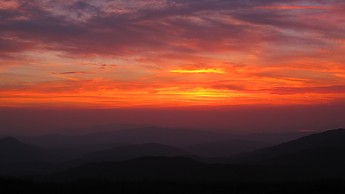 IMG_7884.jpg