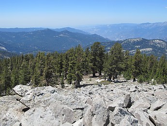IMG_0682.jpg