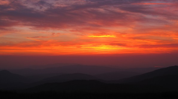 IMG_7884.jpg