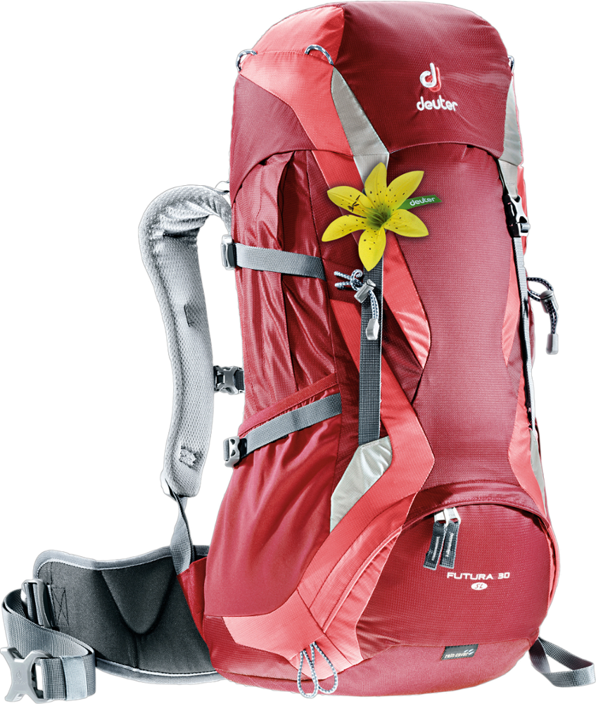 deuter 35l