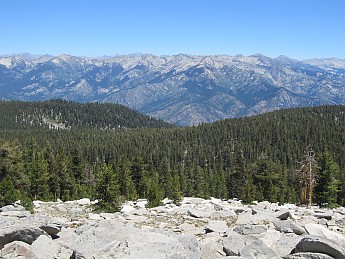 IMG_0629.jpg