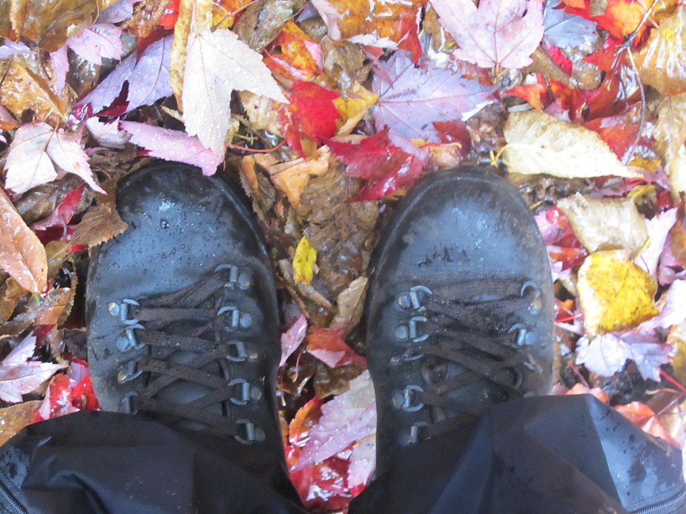ll bean cresta hikers