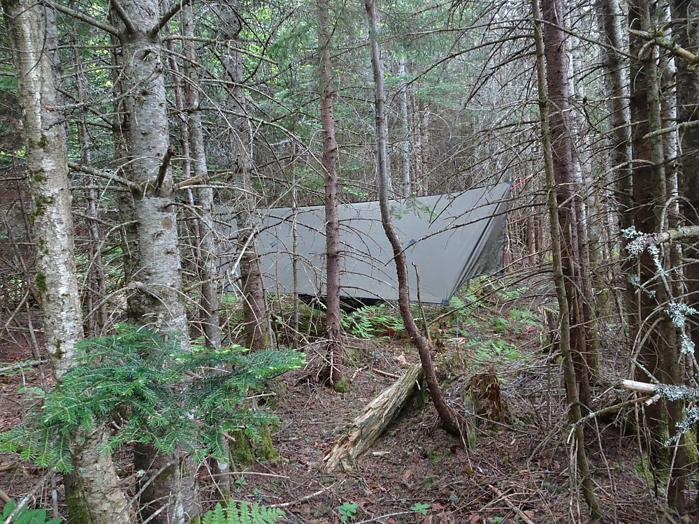 Hammock Gear Journey Reviews Trailspace