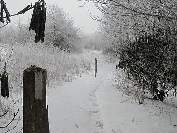 Max-Patch-Dec-2010-092.jpg