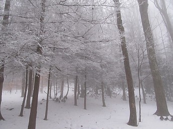 Max-Patch-Dec-2010-069.jpg