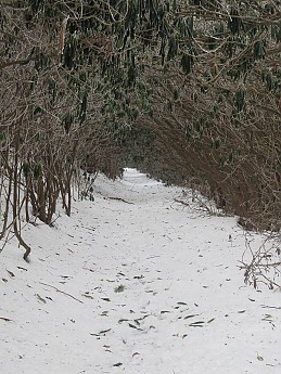 Max-Patch-Dec-2010-096.jpg