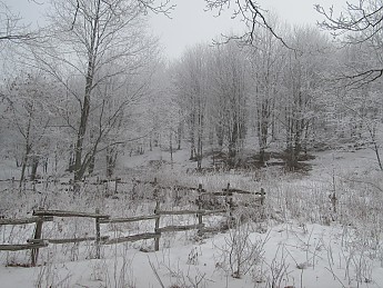 Max-Patch-Dec-2010-100.jpg