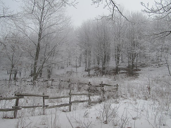 Max-Patch-Dec-2010-100.jpg