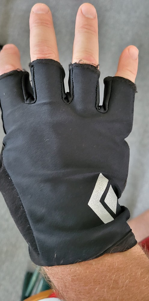 photo: Black Diamond Trail Gloves glove liner