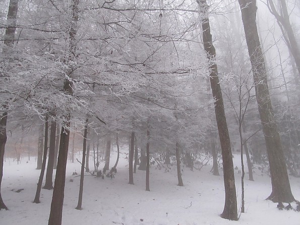 Max-Patch-Dec-2010-069.jpg
