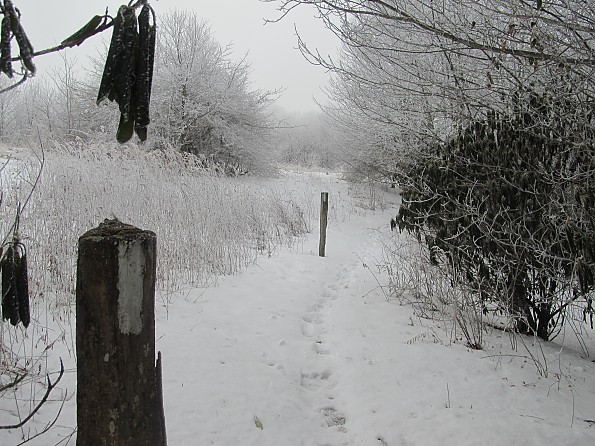 Max-Patch-Dec-2010-092.jpg
