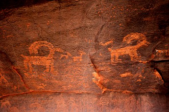 Big-Horn-Sheep-petriglyph.jpg