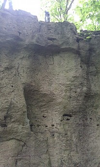 IMAG0209.jpg