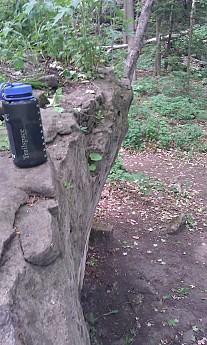 IMAG0213.jpg