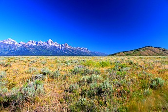 IMG_3044-The-Tetons-and-Blacktail-Butte-