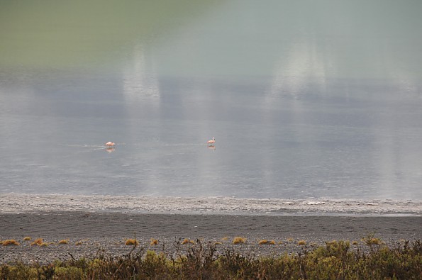 DSC_0226.jpg