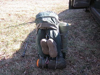IMG_2295.jpg