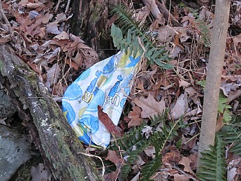 IMG_2305.jpg