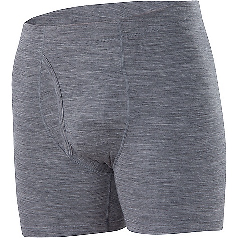 photo: Ibex Woolies 1 Boxer Brief boxer/brief/bikini