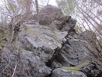 IMG_2314.jpg