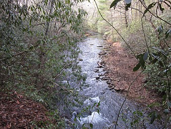 IMG_2315.jpg
