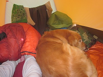 IMG_2328.jpg