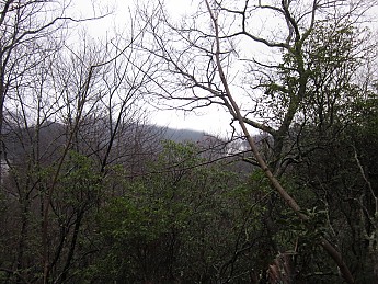IMG_2334.jpg