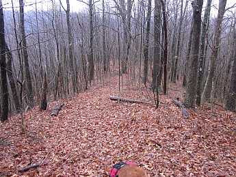 IMG_2336.jpg