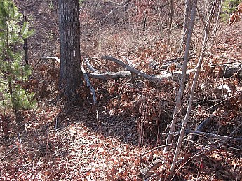 IMG_2306.jpg