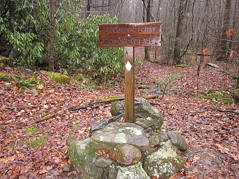 IMG_2344.jpg