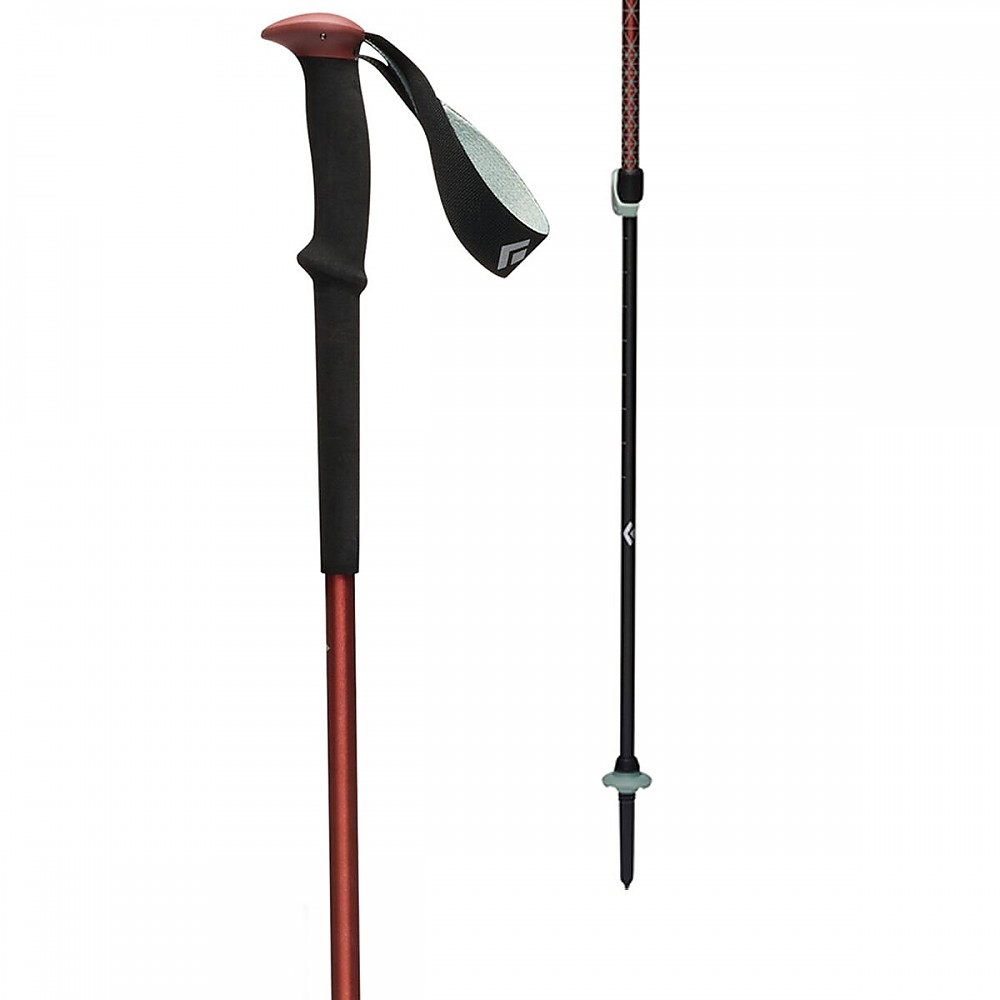 photo: Black Diamond Trail rigid trekking pole