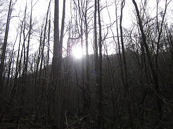 IMG_2358.jpg
