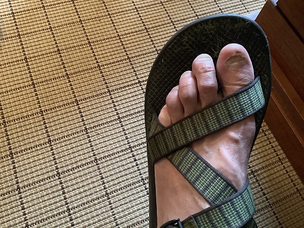 Chaco Z/1 Classic Review – Tahoe Mountain Sports