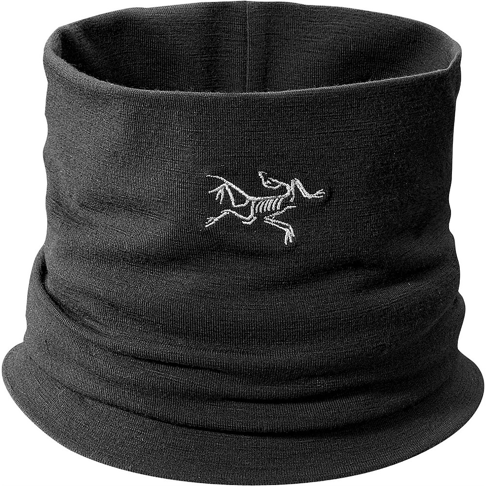 photo: Arc'teryx Rho LTW Neck Gaiter neck gaiter